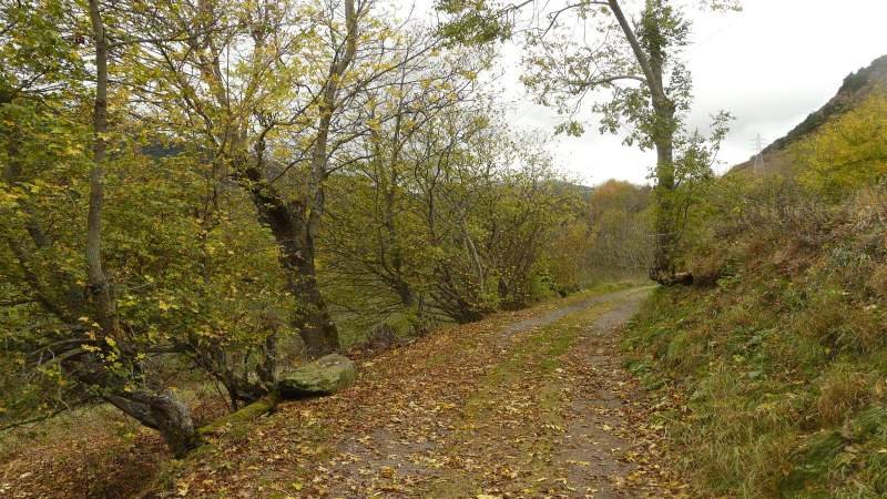 Camí Reiau- Vielha- Vall de Arán