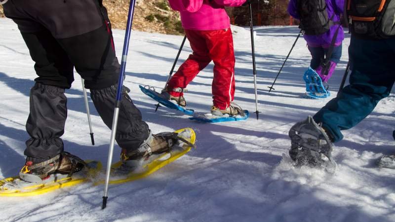 Excursiones con raquetas de nieve