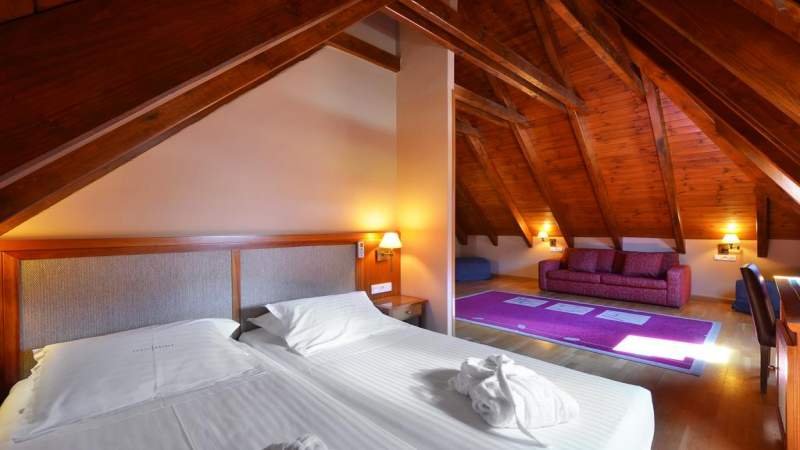 Hotel Spa Acevi Val d'Aran - Habitaciones
