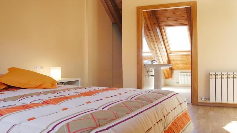 En Aparthotel Nou Vielha admiten mascotas gratis